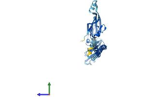 Protein Structure (PS) image for Mitochondrial E3 Ubiquitin Protein Ligase 1 (MUL1) (AA 1-352) protein (His tag) (ABIN7554643)