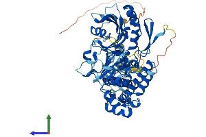 AlphaFold protein structure predicition of Mouse Recombinant Dennd6b Protein, UniprotID Q9D9V7 (DENND6B Protein (AA 1-585) (His tag))