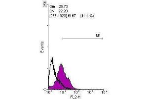 Flow Cytometry (FACS) image for anti-Kruppel-Like Factor 4 (Gut) (KLF4) (C-Term) antibody (ABIN2855075)