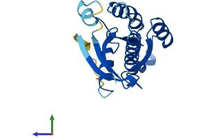 Protein Structure (PS) image for Intraflagellar Transport 27 Homolog (IFT27) (AA 1-186) protein (His tag) (ABIN7548432)