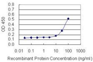 Detection limit for recombinant GST tagged ARHGEF9 is 3 ng/ml as a capture antibody. (Arhgef9 抗体  (AA 419-516))