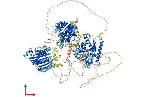 Protein Structure (PS) image for Phosphatidylinositol Transfer Protein, Membrane-Associated 1 (PITPNM1) (AA 1-1243) protein (His tag) (ABIN7562393)