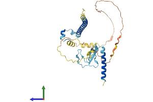 Protein Structure (PS) image for Cell Division Cycle Associated 8 (CDCA8) (AA 1-289) protein (His tag) (ABIN7558664)
