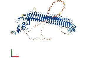 AlphaFold protein structure predicition of Mouse Recombinant Fbxo11 Protein, UniprotID Q7TPD1