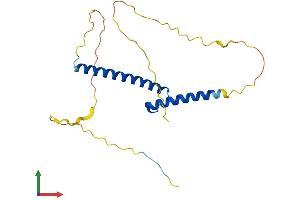 AlphaFold protein structure predicition of Human Recombinant NEUROG3 Protein, UniprotID Q9Y4Z2