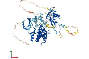 Protein Structure (PS) image for Protein Kinase, AMP-Activated, alpha 1 Catalytic Subunit (PRKAA1) (AA 1-559) protein (His tag) (ABIN7563815)