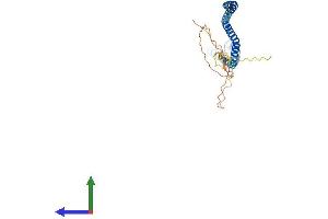 AlphaFold protein structure predicition of Mouse Recombinant Nsl1 Protein, UniprotID Q8K305