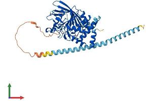 Protein Structure (PS) image for Protein tyrosine Phosphatase, Non-Receptor Type 2 (PTPN2) (AA 1-415) protein (His tag) (ABIN7555103)