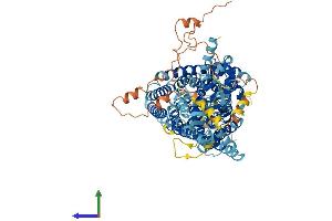 Protein Structure (PS) image for Chloride Channel, Voltage-Sensitive 6 (CLCN6) (AA 1-870) protein (His tag) (ABIN7562322)
