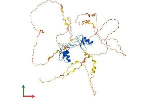 AlphaFold protein structure predicition of Human Recombinant GATA2 Protein, UniprotID P23769 (GATA2 Protein (AA 1-480) (His tag))