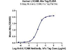 ELISA image for L1 Cell Adhesion Molecule (L1CAM) (AA 20-1120) protein (His tag) (ABIN7275124)