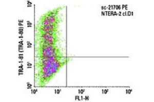 Indirect FCM analysis of NTERA-2 cl. (TRA1-81 抗体)