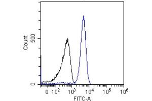 Flow-cytometry using the anti-p53 antibody (ABIN5668085) Jurkat cells were stained with unimmunized rabbit IgG antibody (black line) at a concentration of 10 µg/ml for 30 mins at RT. (Recombinant p53 抗体  (AA 371-380))