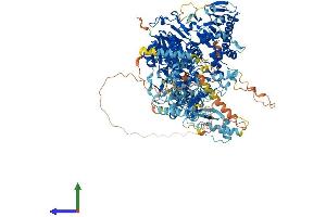 Protein Structure (PS) image for Polymerase (DNA Directed), gamma (POLG) (AA 1-1239) protein (His tag) (ABIN7553702)