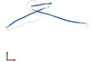 Protein Structure (PS) image for Mirror-Image Polydactyly 1 (MIPOL1) (AA 1-442) protein (His tag) (ABIN7549396)