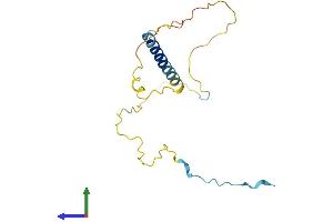 Protein Structure (PS) image for GRB2-Binding Adaptor Protein, Transmembrane (GAPT) (AA 1-157) protein (His tag) (ABIN7559228)