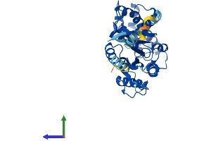 Protein Structure (PS) image for Guanine Nucleotide Binding Protein (G Protein), alpha 11 (Gq Class) (GNA11) (AA 1-359) protein (His tag) (ABIN7548119)