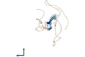 Protein Structure (PS) image for Tripartite Motif Containing 29 (TRIM29) (AA 1-587) protein (His tag) (ABIN7559699)