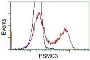 HEK293T cells transfected with either RC201790 overexpress plasmid (Red) or empty vector control plasmid (Blue) were immunostained by anti-PSMC3 antibody (ABIN2453538), and then analyzed by flow cytometry. (PSMC3 抗体)