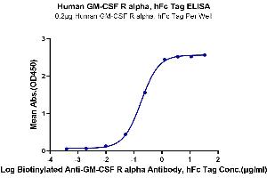 ELISA image for Colony Stimulating Factor 2 Receptor, Alpha, Low-Affinity (Granulocyte-Macrophage) (CSF2RA) (AA 23-320) protein (Fc Tag) (ABIN7274782)