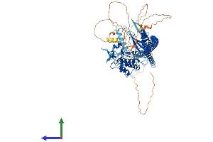 AlphaFold protein structure predicition of Human Recombinant TLK1 Protein, UniprotID Q9UKI8 (TLK1 Protein (AA 1-766) (His tag))