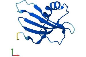 Protein Structure (PS) image for Cystatin A (Stefin A) (CSTA) (AA 1-98) protein (His tag) (ABIN7546957)