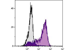 Con-A and IL-2 stimulated BALB/c mouse splenocytes were stained with  Hamster Anti-Mouse CD152-FITC. (CTLA4 抗体  (PE))