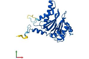 Protein Structure (PS) image for Proteasome Subunit alpha 5 (PSMA5) (AA 1-241) protein (His tag) (ABIN7551051)