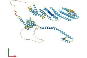 AlphaFold protein structure predicition of Mouse Recombinant Exoc8 Protein, UniprotID Q6PGF7