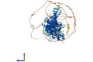 AlphaFold protein structure predicition of Human Recombinant UBE4B Protein, UniprotID O95155