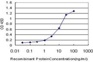 Detection limit for recombinant GST tagged ELAC1 is approximately 0. (ELAC1 抗体  (AA 282-362))