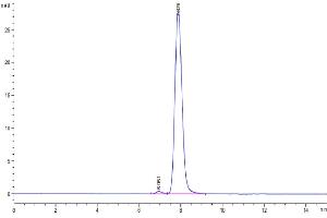 Size-exclusion chromatography-High Pressure Liquid Chromatography (SEC-HPLC) image for CD7 (CD7) (AA 26-180) protein (Fc Tag) (ABIN7274224)