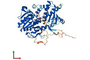 Protein Structure (PS) image for 5'-Nucleotidase Domain Containing 1 (NT5DC1) (AA 1-467) protein (His tag) (ABIN7559151)