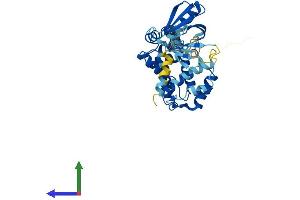 Protein Structure (PS) image for Cytohesin 4 (CYTH4) (AA 1-394) protein (His tag) (ABIN7546878)