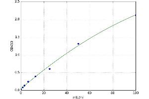 A typical standard curve (HMOX2 ELISA 试剂盒)