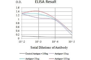 Black line: Control Antigen (100 ng),Purple line: Antigen (10 ng), Blue line: Antigen (50 ng), Red line:Antigen (100 ng) (CD96 抗体  (AA 321-519))