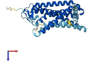 AlphaFold protein structure predicition of Mouse Recombinant Olfr180 Protein, UniprotID Q7TS48 (Olfr180 Protein (AA 1-317) (His tag))