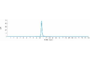 anti-ErbB3 (Seribantumab Biosimilar) antibody