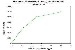Activity Assay (AcA) image for Platelet Derived Growth Factor Receptor beta (PDGFRB) (Active) protein (Myc-DYKDDDDK Tag) (ABIN2713419)