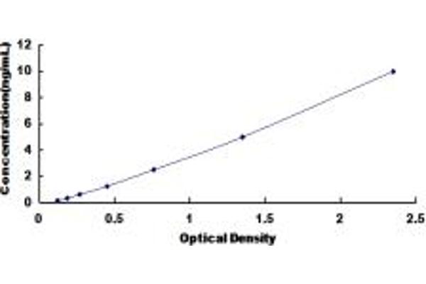 IL21 Receptor ELISA 试剂盒