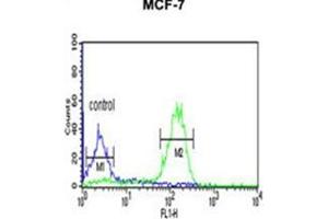 Fllow cytometric analysis of MCF-7 cells using LUC7L2 Antibody (C-term) Cat. (LUC7L2 抗体  (C-Term))