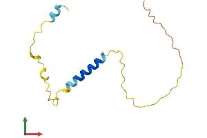 AlphaFold protein structure predicition of Mouse Recombinant Iqcj Protein, UniprotID Q8BPW0 (IQCJ Protein (AA 1-110) (His tag))