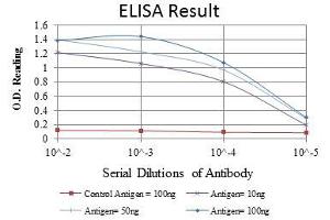 Red: Control Antigen (100 ng), Purple: Antigen (10 ng), Green: Antigen (50 ng), Blue: Antigen (100 ng), (CDK9 抗体)