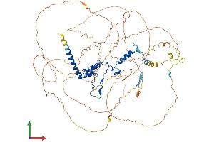 AlphaFold protein structure predicition of Mouse Recombinant Dnttip2 Protein, UniprotID Q8R2M2 (DNTTIP2 Protein (AA 1-758) (His tag))