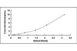 Matrix Metallopeptidase 16 (Membrane-inserted) (MMP16) ELISA Kit