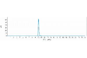 anti-CD6 (Itolizumab Biosimilar) antibody