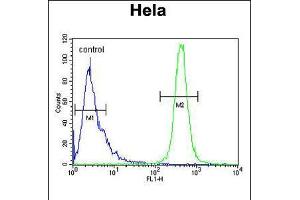 Flow cytometric analysis of Hela cells (right histogram) compared to a negative control cell (left histogram). (IMP3 抗体  (C-Term))