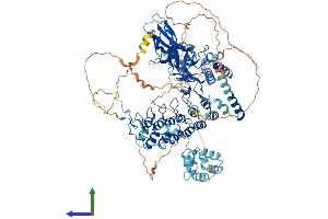 AlphaFold protein structure predicition of Human Recombinant NFKB1 Protein, UniprotID P19838
