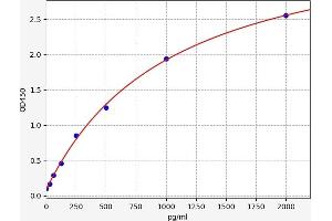 PPP2R1A ELISA 试剂盒