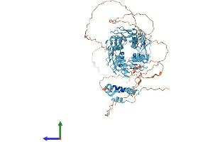 AlphaFold protein structure predicition of Human Recombinant ZNF33B Protein, UniprotID Q06732